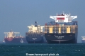 Singapore-Reede (MS-050418-15).jpg