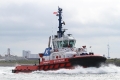 SD Stingray (MM-210810-1).jpg