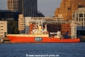 EDT Protea JP-160825-03.jpg