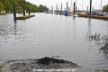 Schweroel-Russ Muehlenberger Yachthafen 081014-02.jpg
