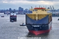 MSC Germany 160625-03.jpg