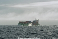 Elbcarrier HK-120818-1.jpg