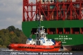 SD Dolphin 121014-01.jpg