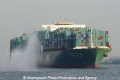 CSCL Star 250211-a.jpg