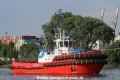 SD Dolphin TL-160714-1.jpg