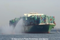 CSCL Star 250211-b.jpg