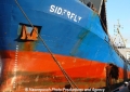 Siderfly (OK-071113-3).jpg