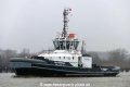 SD Tempest (OK-200217-1).jpg
