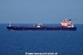 Next TL-110725-1.jpg