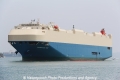 Primrose Ace RV-061012-04.jpg