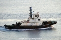 Smit Tahiti (KK-121114-0).jpg