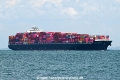 Conti Conquest OS-251024-1.jpg