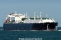 Soyo SH-310822-01.jpg
