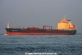 Clipper Legacy (MS-S-061005-1).jpg