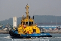 Smit Pataxo RV-310813-03.jpg