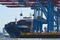 CMA CGM Neva 080718-01.jpg