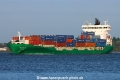 Elbsun TL-240824-1.jpg