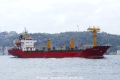 Bellis (OK-160917-0).jpg