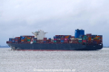 Edison (KK-290320-3).jpg