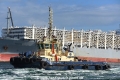 Svitzer Harrier OS-081219-01.jpg