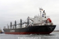 Clipper Izumo GP-311215-107.jpg