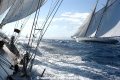 Voiles de St. Tropez OS-2007-147.jpg