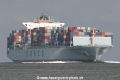 Cosco China (MS-250707-1).jpg