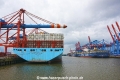 Waltershofer Hafen 29717.jpg