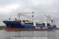 Beluga Fantastic (LW-150309-12).jpg