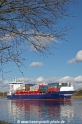 Elite (MS-260308-22).jpg