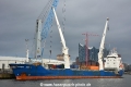 Thorco Arctic (KB-D240215-01).jpg