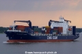 CMA CGM Fort St. Georges (310703-03).jpg