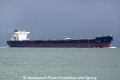 Nian Feng Hai (MS-201009-07).jpg