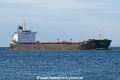 Golden Frio JG-270326-1.jpg