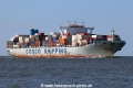 Cosco Shipping Danube TL-230821-3.jpg