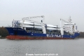 Beluga Federation (OK-201107-3).jpg