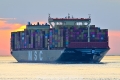 MSC Quitterie OS-210625-02.jpg