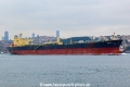 Dynasty (OK-230214-0).jpg