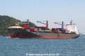 CMA CGM Paranagua RV-020322-02.jpg