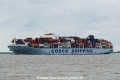 Cosco Shipping Danube (KK-250519-1).jpg
