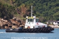 Tanarus RV-131212.jpg