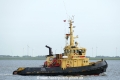 Thor (OK-180622-3).jpg