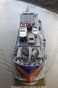 Beluga Fantastic (TJ-150309-17).jpg
