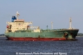 Pacific Citrine TL-050813-2.jpg