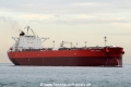 Pacific Brave OS-040410-03.jpg