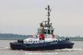 VB Bison TL-180823-1.jpg