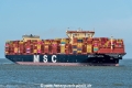 MSC Quitterie SH-270625-01.jpg