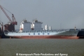 Cosco Santos OS-200213-02.jpg