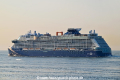 Celebrity Apex OS-250623-24.jpg