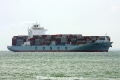 Cosco Osaka (MS-081008-10).jpg